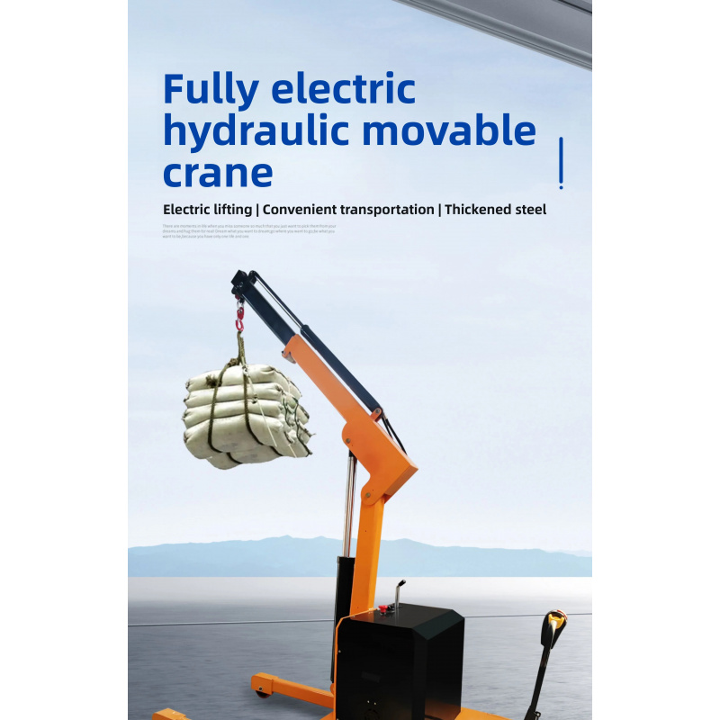 Engine Hoist Crane - Lève-moteur hydraulique et grue portative avec
